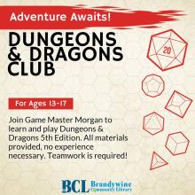 Dungeons & Dragons Club:  Teens