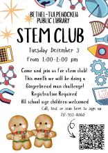 STEM Club image